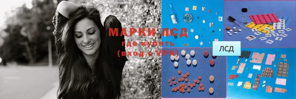 прущие грибы Липки