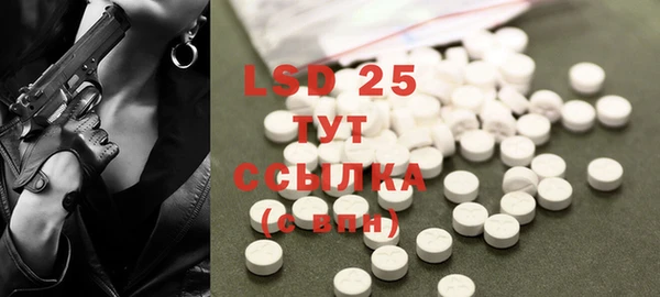 прущие грибы Липки