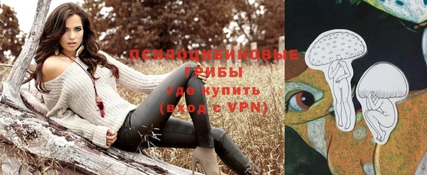 таблы Лиски