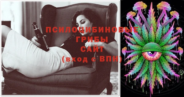 прущие грибы Липки