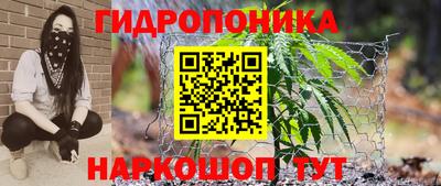 шишки Волгодонск