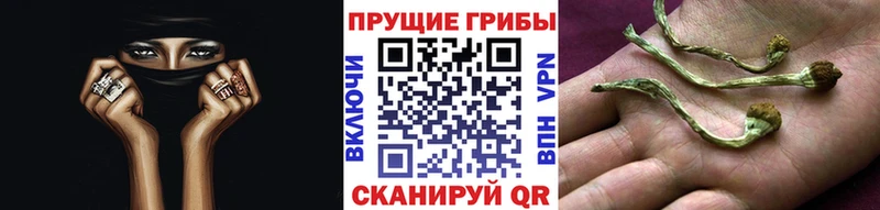 купить закладку Ковров Псилоцибиновые грибы мухоморы