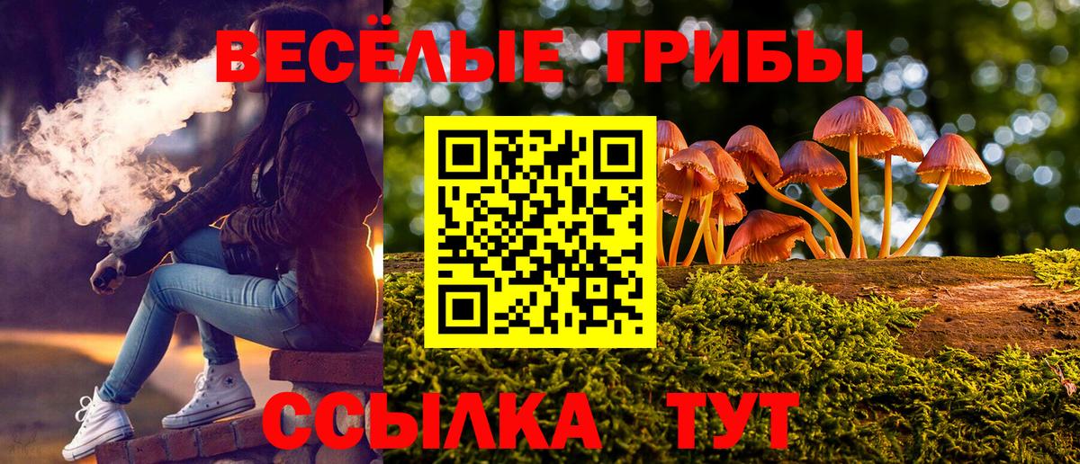 Псилоцибиновые грибы мухоморы  Галлюциногенные грибы Psilocybe  Вход с VPN  Ковров 