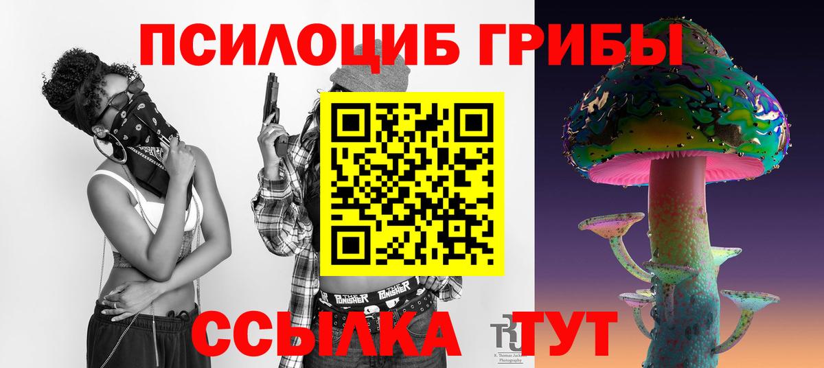 Псилоцибиновые грибы прущие грибы Ковров