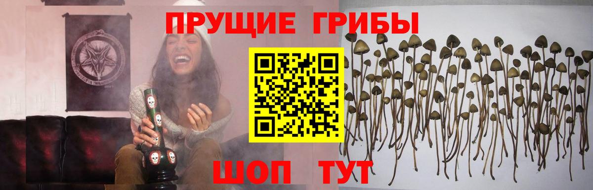 Галлюциногенные грибы мицелий Ковров